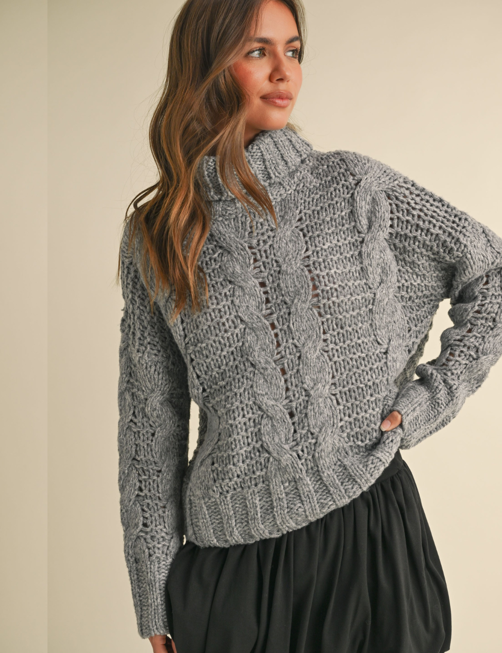 ChunkyKnitTurtleNeckCableSweater_d2da6c68-ab61-4de9-82f4-37a2da8afcff.png