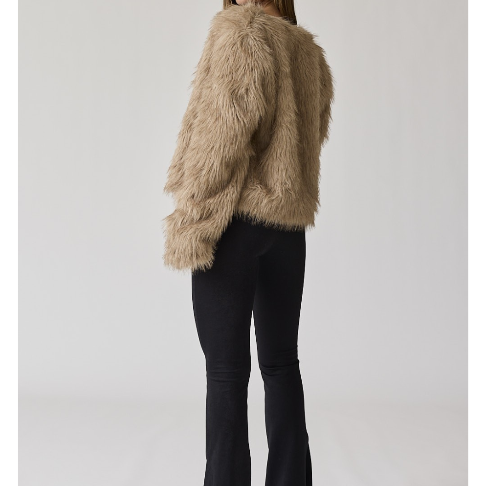 AlannaFauxFurJacket._a0c7f058-0d77-4186-899b-96831c77ec76.png