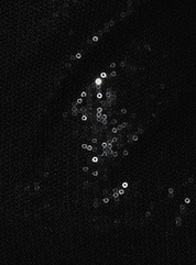 Izzy Drop Waisted Sequin Mini Dress