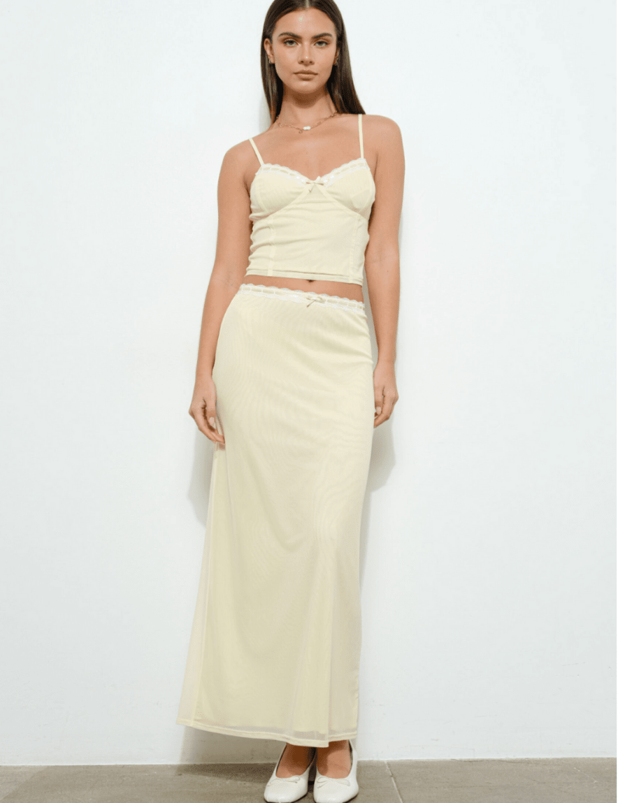 lace-trim-mesh-long-skirt-4005708.png