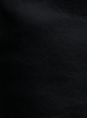 Melisa Faux Leather Shorts